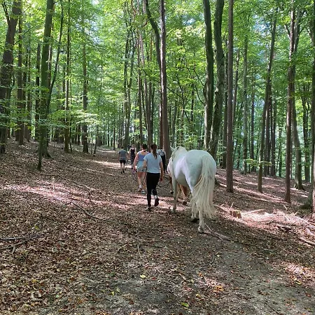 Hébergement de vacances Kellerstoeckl Am Gut Kunterbunt Hartl