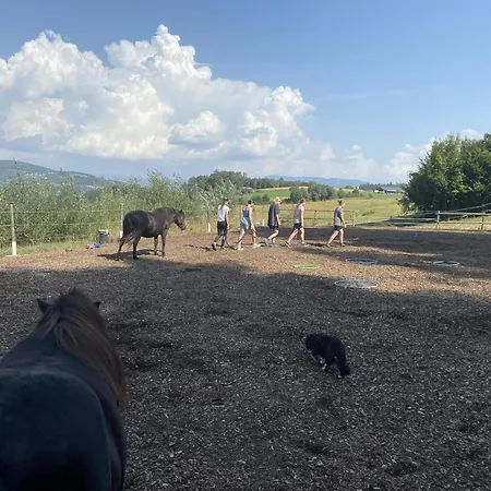 Hébergement de vacances Kellerstoeckl Am Gut Kunterbunt Hartl