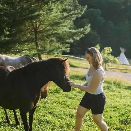 Kellerstoeckl Am Gut Kunterbunt Hébergement de vacances Hartl